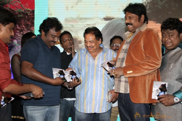 TanuMonne Vellipoyindi Audio Launch Photos