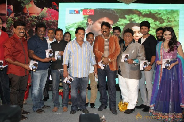 TanuMonne Vellipoyindi Audio Launch Photos