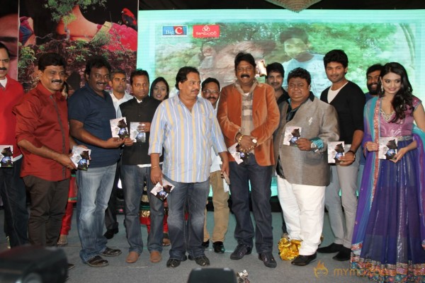 TanuMonne Vellipoyindi Audio Launch Photos