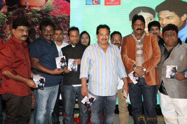 TanuMonne Vellipoyindi Audio Launch Photos