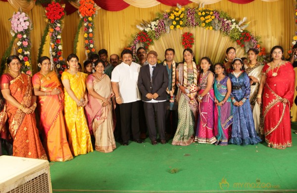 Thambi Ramaiah Daughter Wedding Reception Gallery 