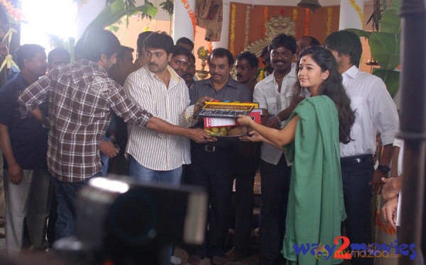 Thambikkottai Movie Launch 