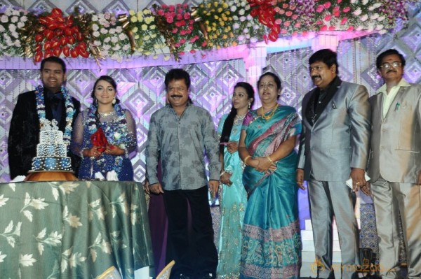 TR Omana Grand Daughter Wedding Photos