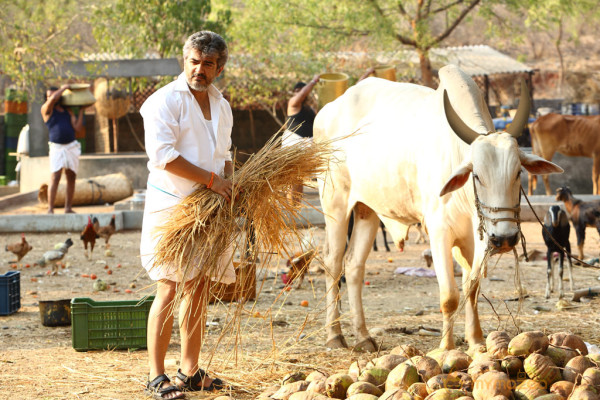 Veeram Movie New Stills_Ajith New Photos