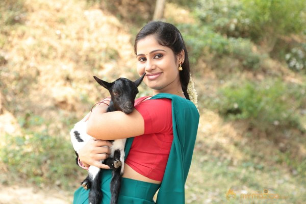 Veeratthiruvila Movie Stills