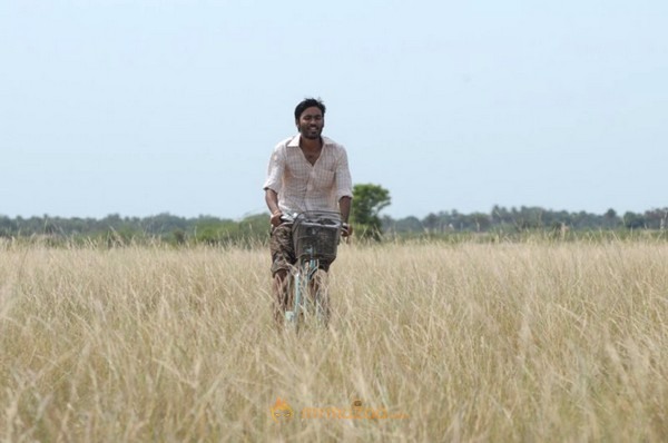 Aadukalam Latest Movie Stills