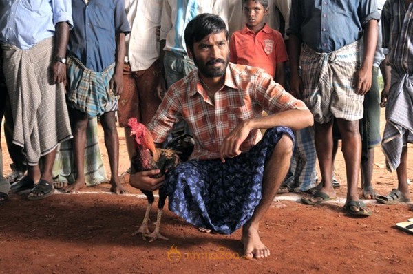 Aadukalam Latest Movie Stills