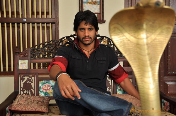 Vikram Dhada Movie Stills 