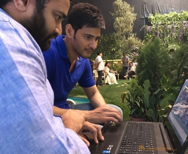 Mahesh Babu Supports Okka Ammayi Thappa Trailer