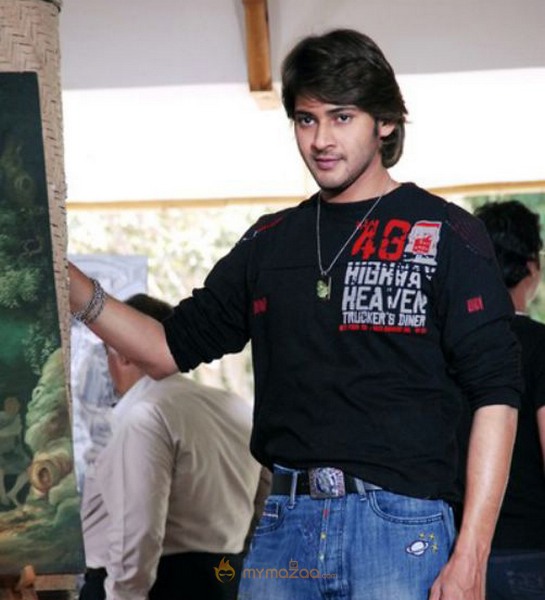 Mahesh Babu Photo Gallery