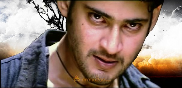 Mahesh Babu Photo Gallery