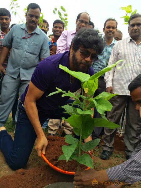 Mega Star Chiranjeevi and Nagarjuna Participated In great initiative for Haritha Haram