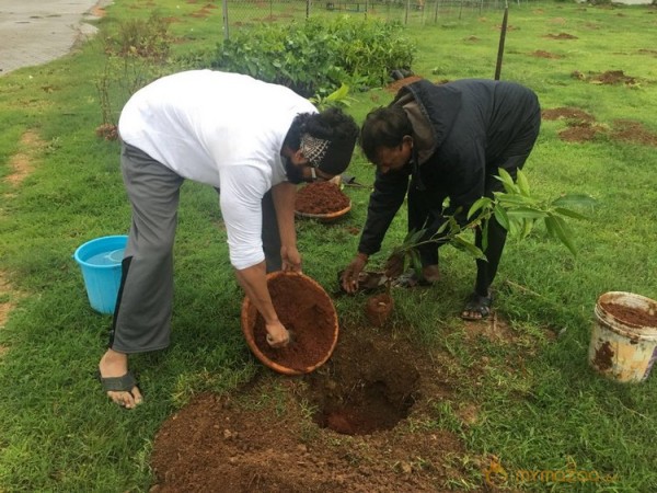 Rana Daggubati planted saplings at Nanakramguda as a part of Haritha Haram