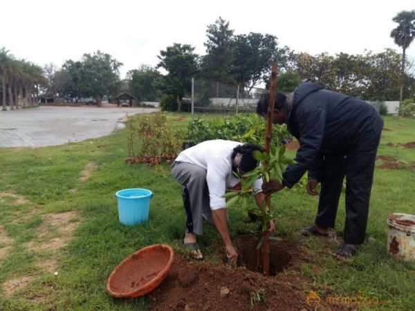 Rana Daggubati planted saplings at Nanakramguda as a part of Haritha Haram