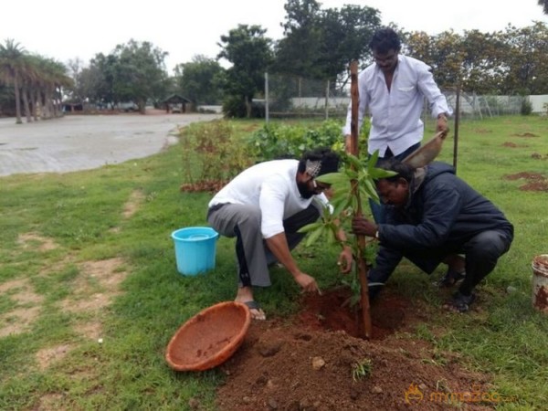 Rana Daggubati planted saplings at Nanakramguda as a part of Haritha Haram