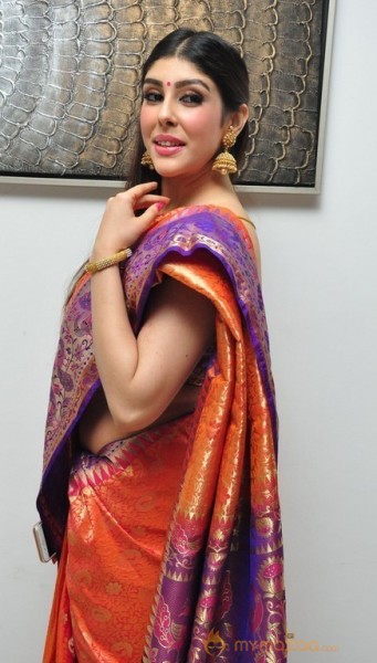 Aditi Singh Latest Traditional Images