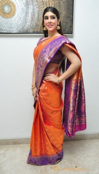 Aditi Singh Latest Traditional Images