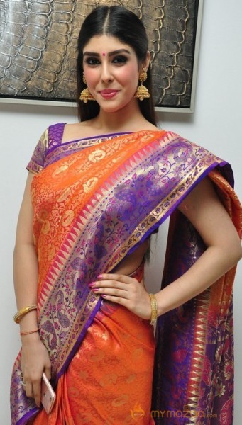 Aditi Singh Latest Traditional Images