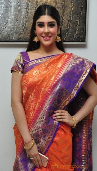 Aditi Singh Latest Traditional Images