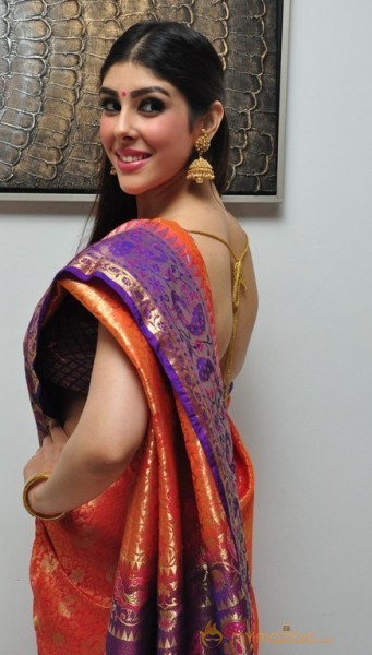 Aditi Singh Latest Traditional Images