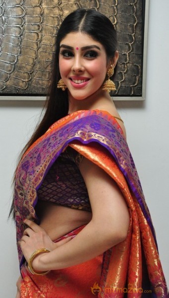 Aditi Singh Latest Traditional Images