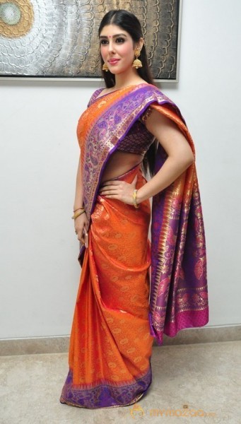 Aditi Singh Latest Traditional Images