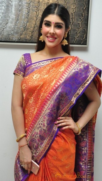 Aditi Singh Latest Traditional Images