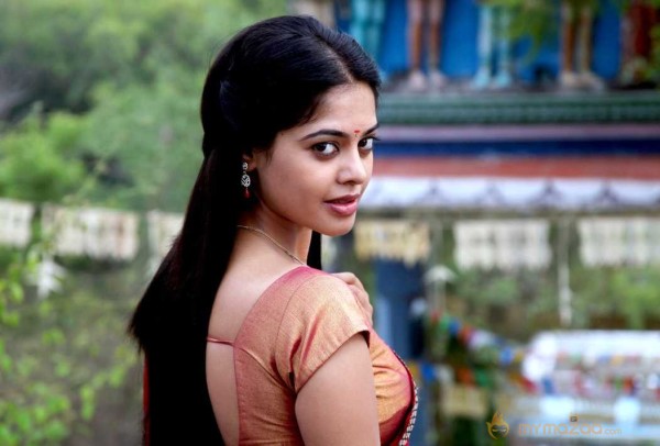  Bindu Madhavi Saree Stills 