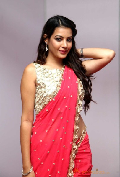  Diksha Panth Saree Stills 