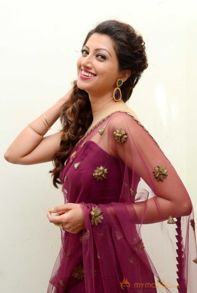  Hamsa Nandini Latest Stills 