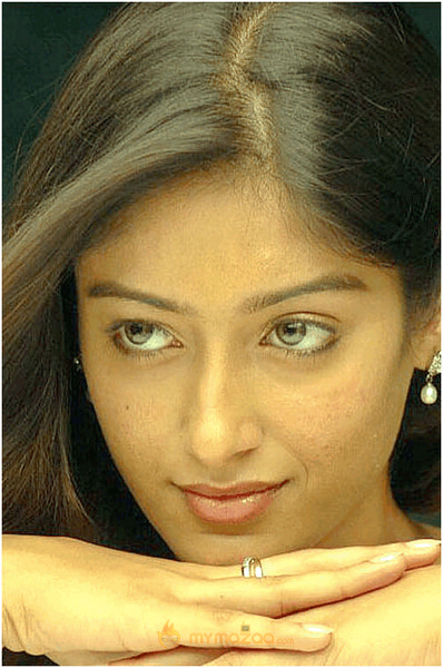 Ileana  Hot Photshoot