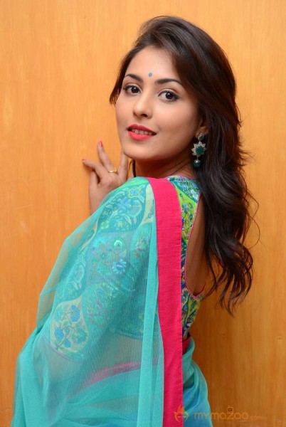  Madhu Shalini In Half Saree Photos 