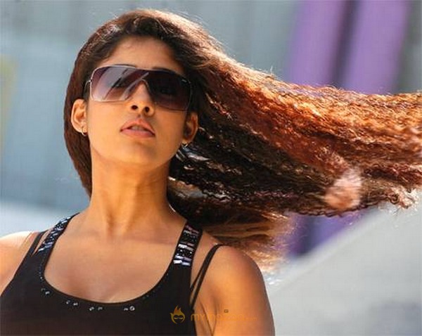 Hot and Cute Nayanthara Photo Gallery