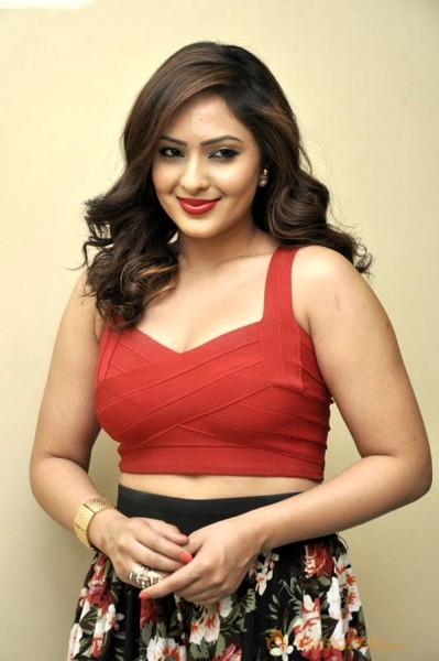 Nikisha Patel Latest Photo Shoot