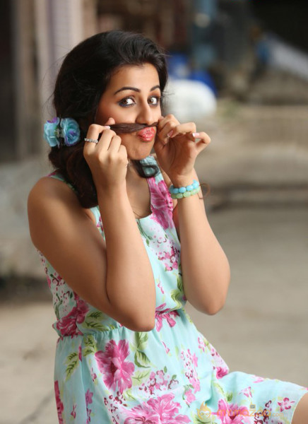 Nikki Galrani Cute Photoshoot...