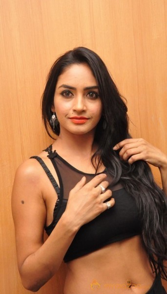 Pooja Sree one more Hot Photoshow