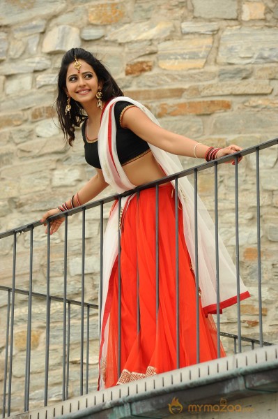  Rakul Preet Singh 