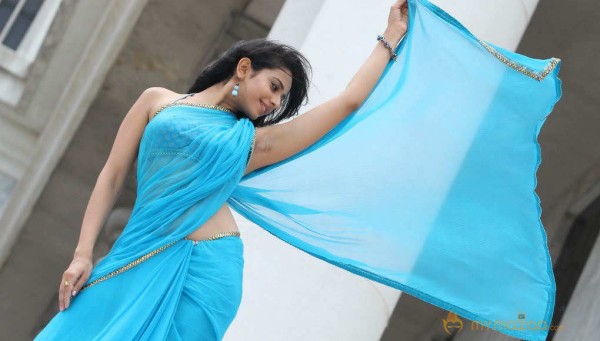 Rakul Preet Singh Hot Sarees Pics