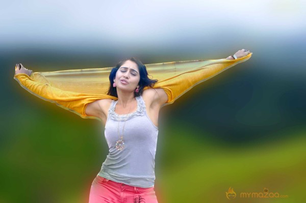  Regina Cassandra 