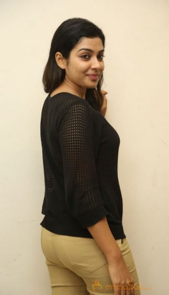 Satna Titus Bichagaadu Heroine Press Meet Photos