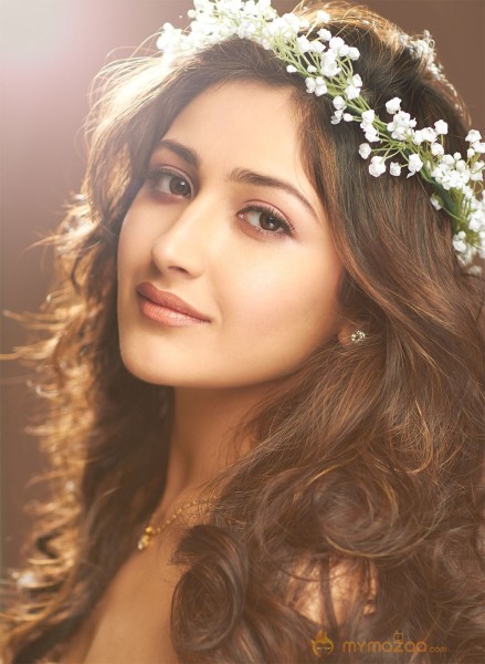 Sayesha Saigal New Hot Stills