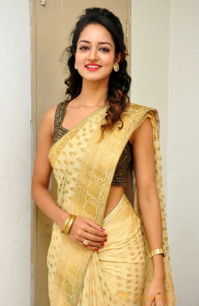  Shanvi Beautiful Gold Dress Pics 