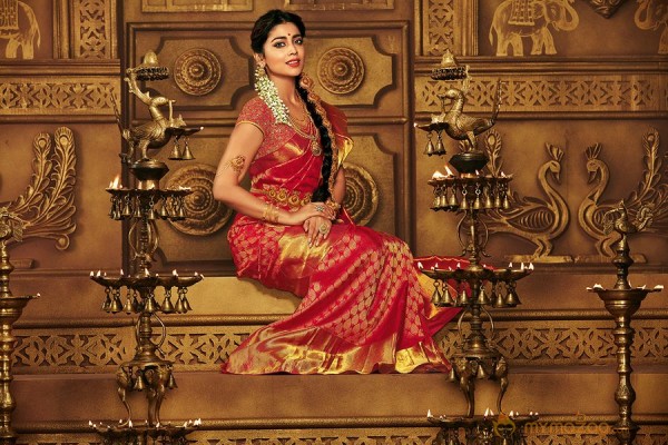 Shriya Saran Latest Photo shoot stills