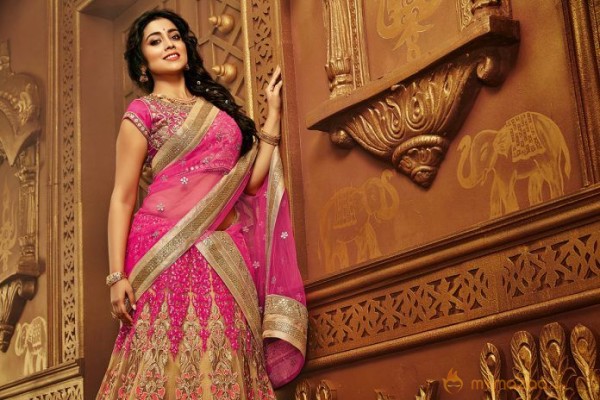 Shriya Saran Latest Photo shoot stills