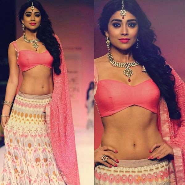 Shriya Saran's Latest Photos in Traditional Avatar