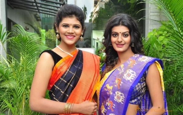 Silk India Expo Curtain Raiser Launch Stills