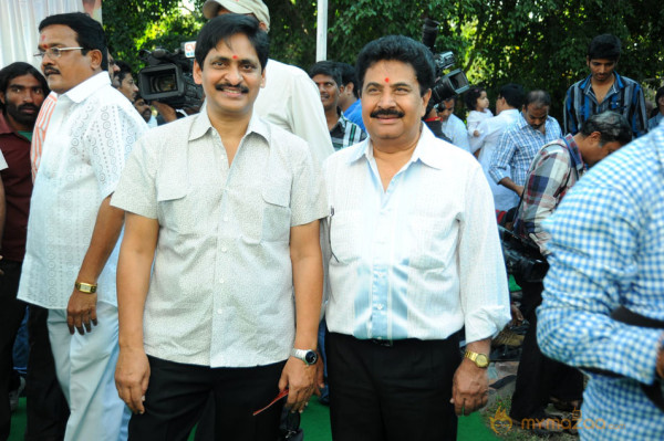 Aaadi New Movie Launch Photos