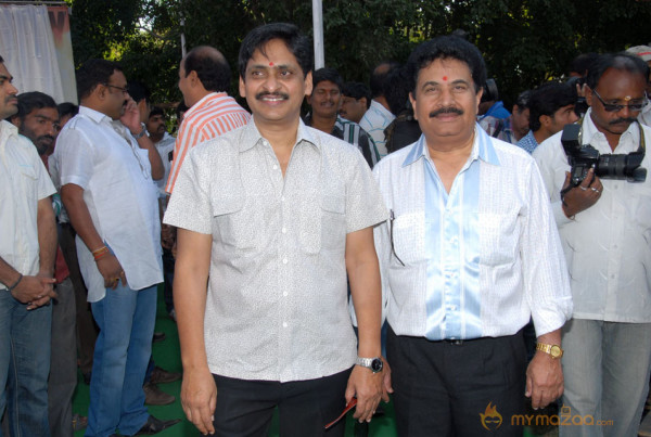 Aaadi New Movie Launch Photos