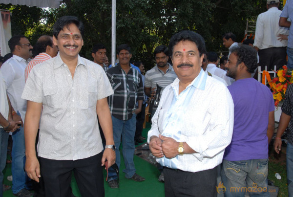 Aaadi New Movie Launch Photos