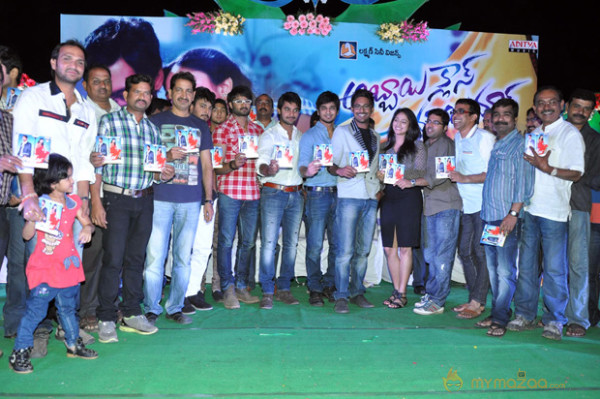 Abbai Class Ammai Mass Audio Launch Pics